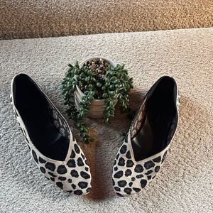 Kelly and Katie Rothy like Leopard Print Women's Flats